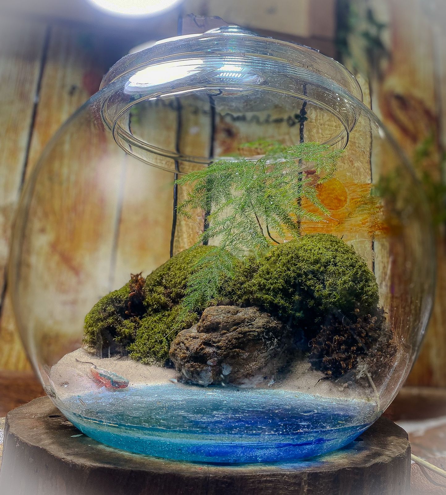 Kit Terrario Realista - Mel Coelho ( Amo Terrários) - Imagem 8