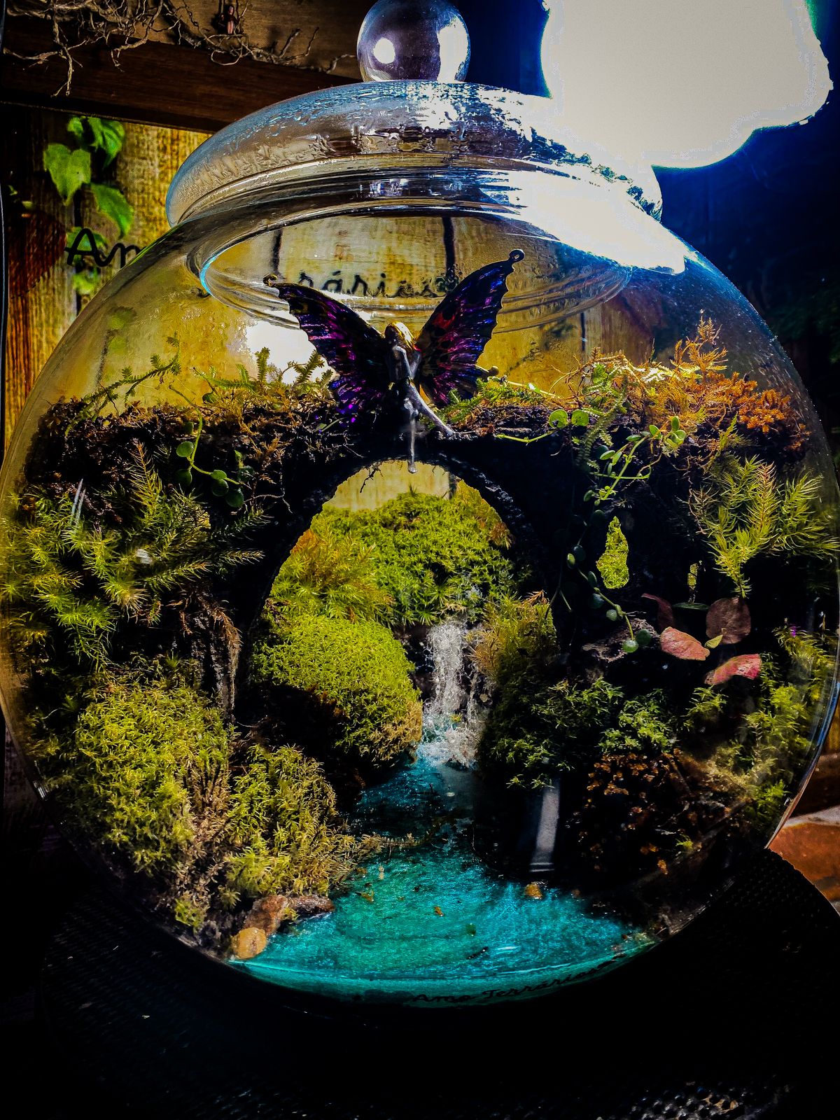 Kit Terrario Realista - Mel Coelho ( Amo Terrários) - Imagem 7