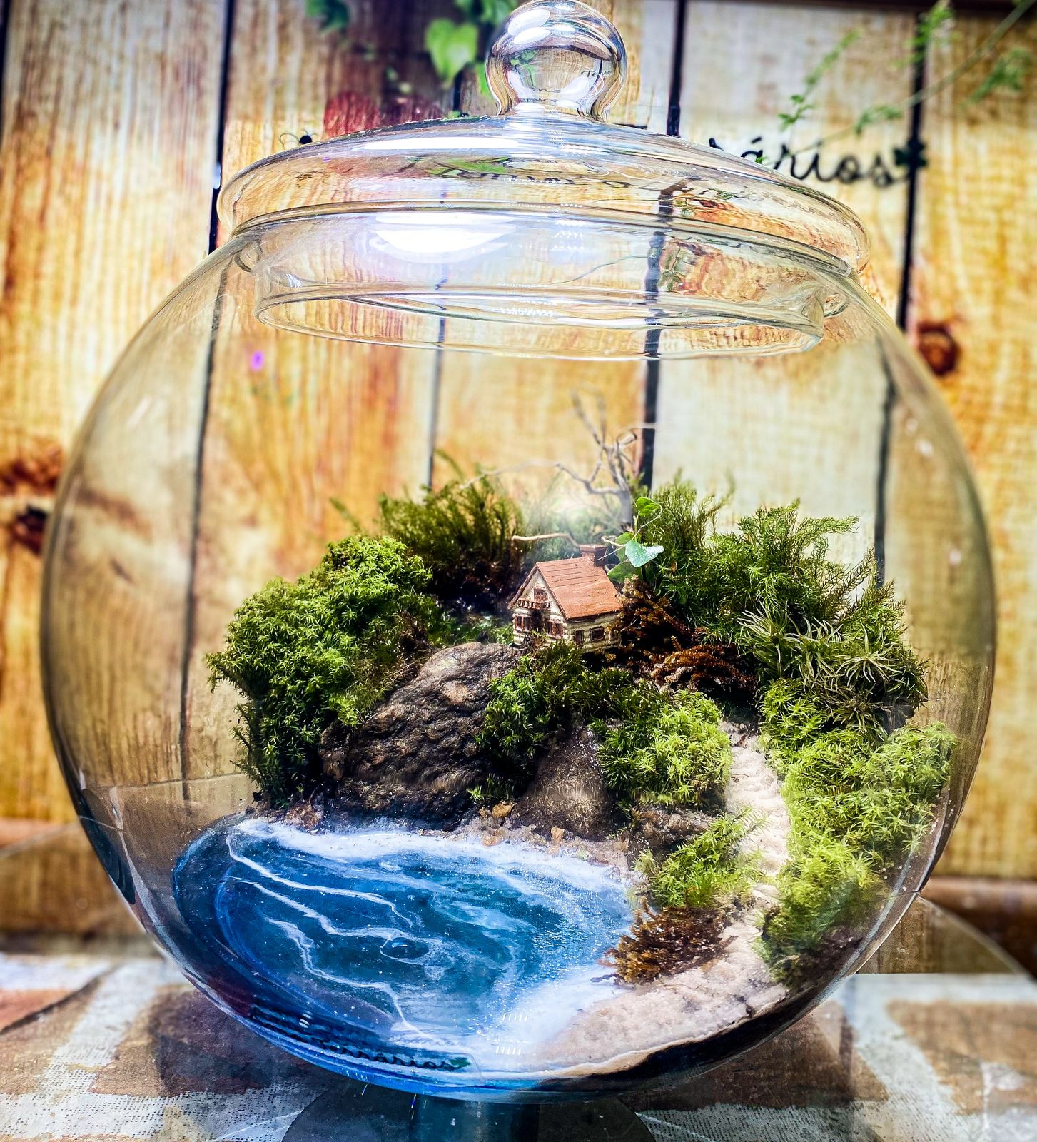 Kit Terrario Realista - Mel Coelho ( Amo Terrários) - Imagem 6