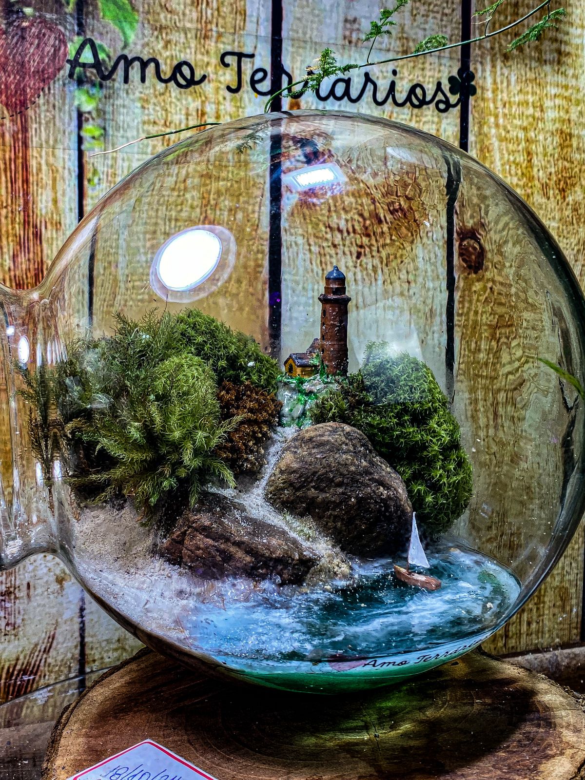 Kit Terrario Realista - Mel Coelho ( Amo Terrários) - Imagem 5