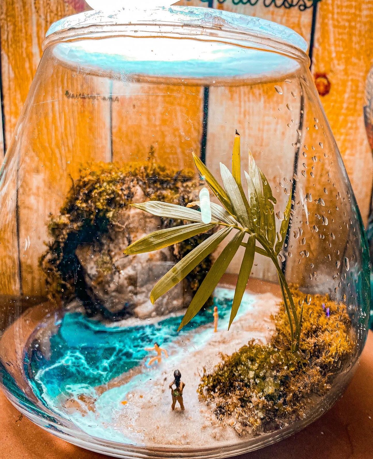 Kit Terrario Realista - Mel Coelho ( Amo Terrários) - Imagem 3