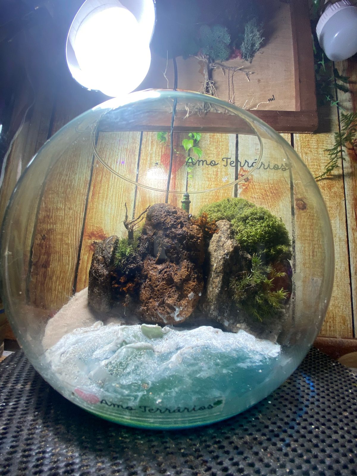 Kit Terrario Realista - Mel Coelho ( Amo Terrários) - Imagem 2