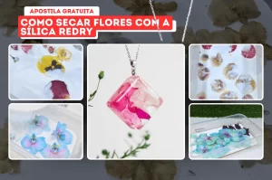 Como secar flores c/ a Sílica Redry